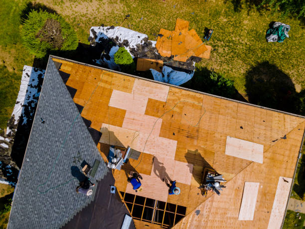 Roof Gutter Cleaning in Rocky Mount, NC