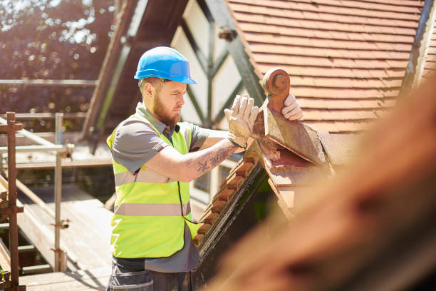 Best Roof Gutter Cleaning  in Rocky Mount, NC