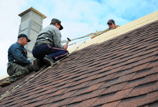 Best Gutter Installation and Roofing  in Rocky Mount, NC